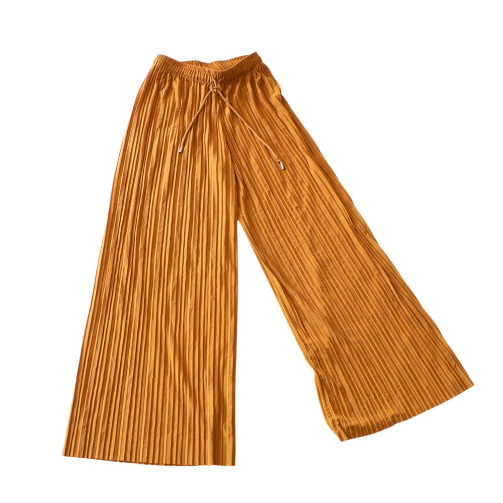 Burnt Orange Accordion Pleated Wide Leg Pants/Palazzo Pants